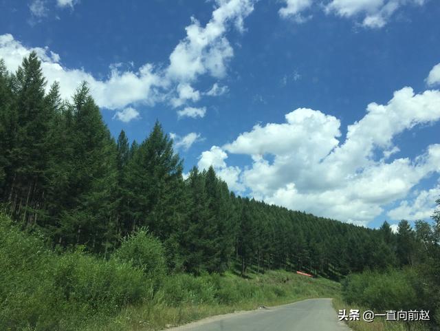 随身空间北大荒（随身空间大海小说）