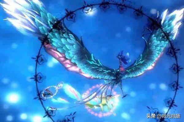 斗罗之极致之力_斗罗之极致之防御