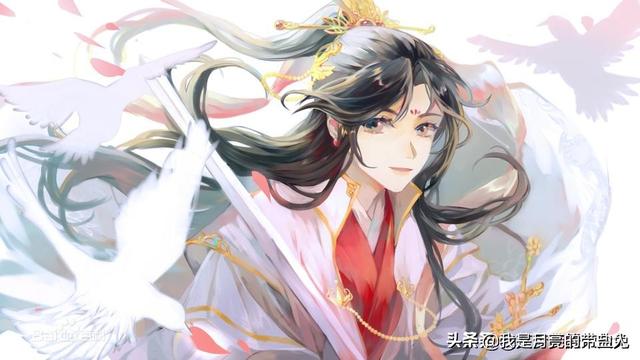 天官赐福墨香铜臭全文免费阅读