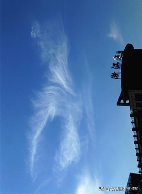 5个被拍到的外星人（5个被拍到的外星人电影名字）