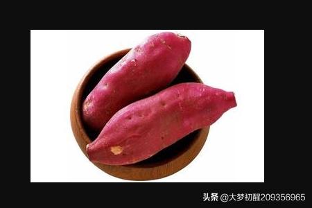 她很软很甜免费阅读(她很软很甜免费阅读小说)