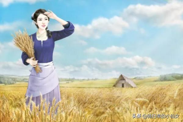 农家日常生活 穿越种田（农家日常生活(穿越种田)）