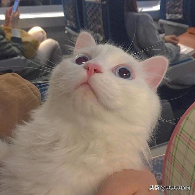 倚天屠龙记2009邓超版（倚天屠龙记2009邓超版赵敏闯丐帮）